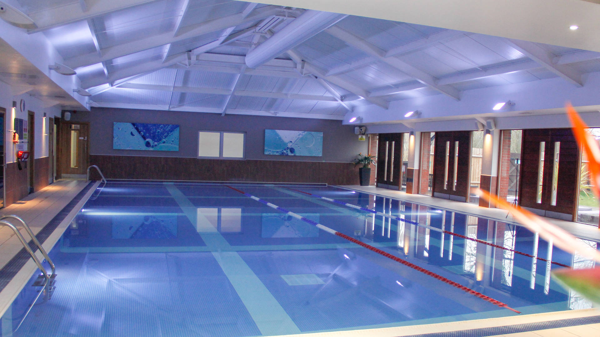 Swim Image