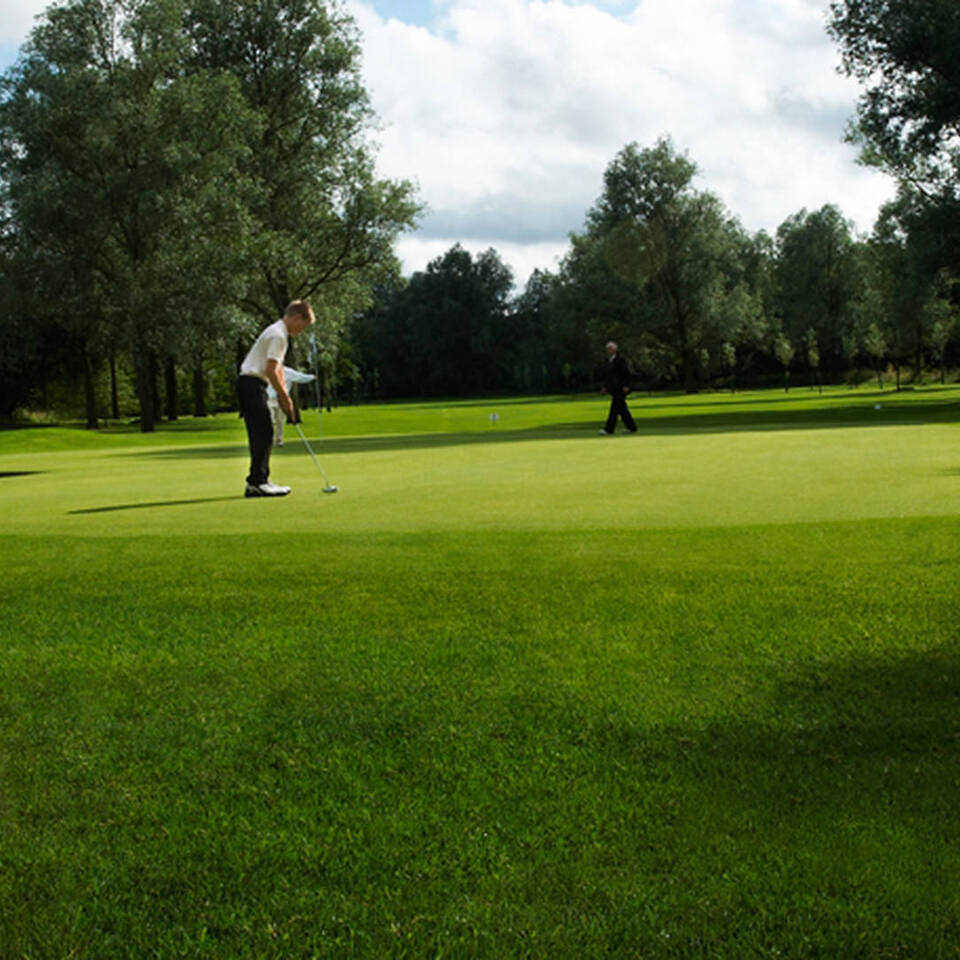 Golf Lessons Image